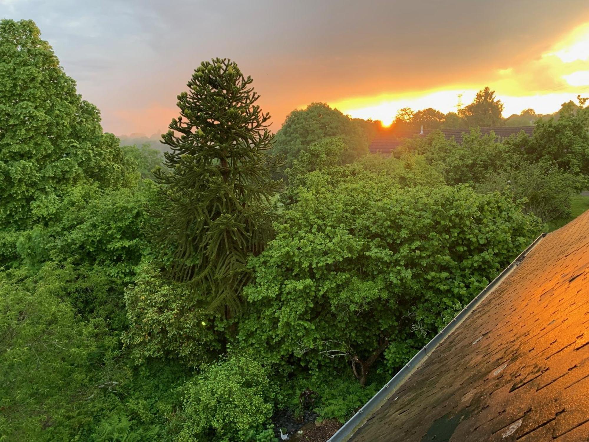 مبيت وإفطار Isigny-le-Buat Le Petit Manoir المظهر الخارجي الصورة